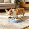 Food and Water Bowl Set with 3 Removable Elevated Bowls and Automatic Water Dispenser view 2