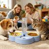 Food and Water Bowl Set with 3 Removable Elevated Bowls and Automatic Water Dispenser view 3