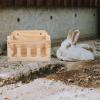 KHBUAB Hay Feeder for Rabbits and Chinchillas view 4