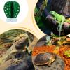 Yqooup Reptile Humidifier | Cactus-Shaped, No Power Needed view 4