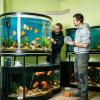 Huxibai Acrylic Aquarium Anti-Jump Lid view 2