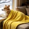 Generic Pet Blanket for Dogs - Washable Companion view 3