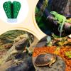 Compact Reptile Terrarium Humidifier - Cactus Shaped view 4