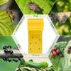Ameble 9.8 in x 32.8 ft Tree Trunk Protector, Double-Sided Sticky Garden Pest Control Tape, for Plant Protection, Grafting, Wrapping and Training (20 Bands Included) view 3