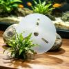 Round Clear Acrylic Aquarium Cover with Hole view 3