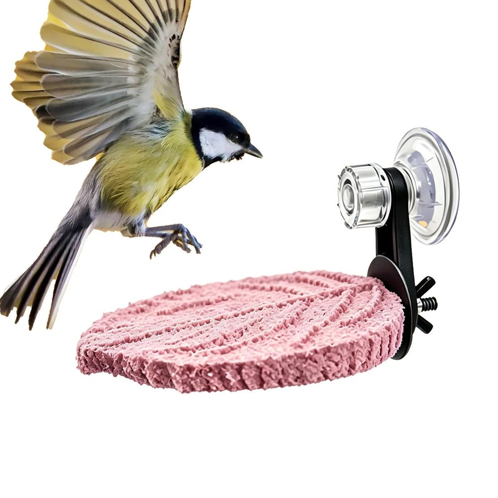 Bird Cage Perch - Suction Cup Stand for Conures and Budgies