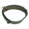 Cryfokt Durable Adjustable Cattle Collar with Metal Buckle and Pull Chain for Cattle Shows, Comfortable Neck Strap for Dogs (Medium Size) view 3