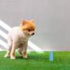 TOPBATHY Dog Toilet for Small Breeds view 4