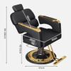 Adjustable Barber Chair, 360° Swivel, Reclining Backrest and Armrests, Silver view 2