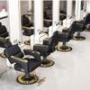 Adjustable Barber Chair, 360° Swivel, Reclining Backrest and Armrests, Silver view 3