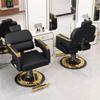 Adjustable Barber Chair, 360° Swivel, Reclining Backrest and Armrests, Silver view 4