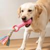 Durable Dog Chew Toy with Dental Care view 3