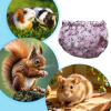 Reusable Squirrel Diapers view 4