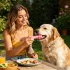 Dog Chew Toy | Durable and Wear-Resistant Toothbrush for Pets view 2