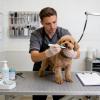 Dog Toothbrush Stick - Portable Dental Tool view 2