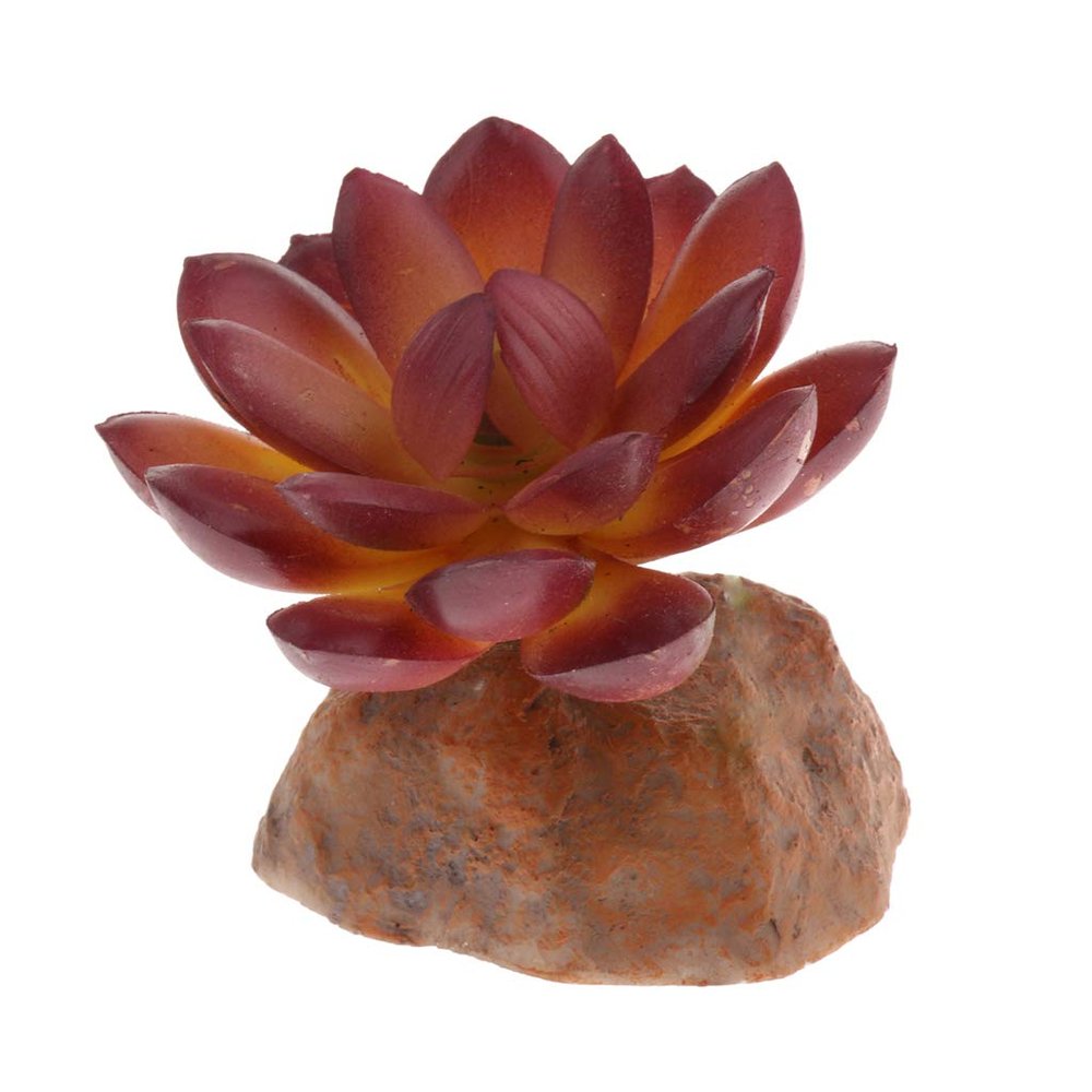 Whtkoph Plant with Resin Base, Reptile Terrarium Ornament, Type 1