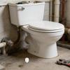 Toilet Seat Bumpers, 4-Pack, TPE view 4
