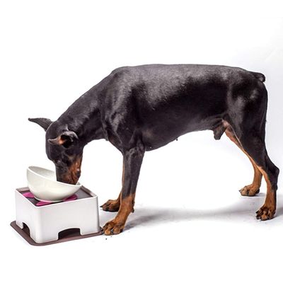 Vvikizy Portable Plastic Pet Feeding Table with Non-Slip Mat, Small