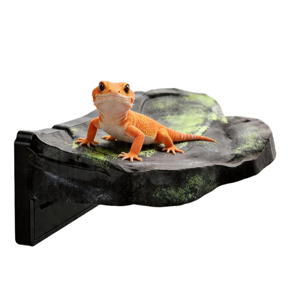 Magnetic Floating Reptile Platform for Terrariums