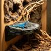 Magnetic Floating Reptile Platform for Terrariums view 3