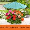 Plant Umbrellas for Outdoor Plants, 3-Piece Set, UV Protection and Shade view 2