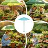 Plant Umbrellas for Outdoor Plants, 3-Piece Set, UV Protection and Shade view 4