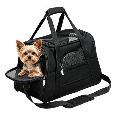 Small, Foldable Cat Transport and Carrying Bag