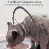 PVC Recovery Collar for Pets view 4