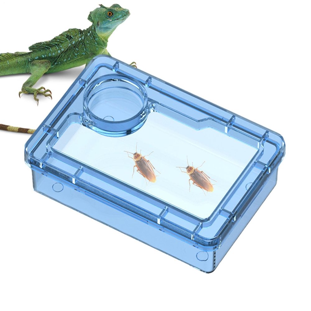 Zizhiou Water Bowl for Reptiles