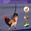 Chicken Harness - Adjustable Duck Leash S/M/L/XL view 3