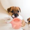 Blaihild Kitten Milk Feeder, Soft Silicone, 10 x 9 cm view 3