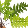 KJHBV Realistic Plastic Reptile Hiding Plant with Weighted Base view 3