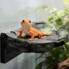 Magnetic Realistic Floating Reptile Climbing Platform view 3