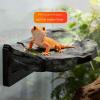 Magnetic Realistic Floating Reptile Climbing Platform view 4