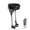 Generic Exoskeleton Walking Aid for Stroke Rehabilitation | Adjustable Support for Hemiplegia | Walking Aid for Adults and Seniors, Supports Both Legs (Small) view 1