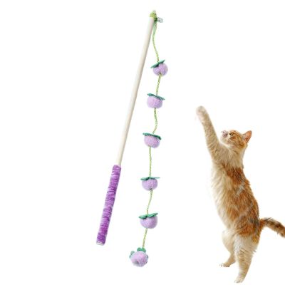 Cat Toy Wand | Fruit-Shaped Teaser Stick | 15.7 Inch Wooden Handle
