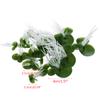 Oxxggkao Artificial Duckweed, 18-Piece Floating Aquarium Plants, 3 Sizes view 3