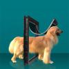 Whtkoph Cat and Dog Door, Pet Flap with Removable Flap and Tunnel Function, L, Black view 2