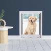 Whtkoph Cat and Dog Door, XL, White view 2