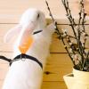 ifundom Soft Rabbit Harness with Leash view 4