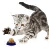 CLISPEED Catnip Energy Ball 50g view 4
