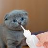 WATIIFUFU 120 ml Plastic Milk Bottle for Young Pets view 4
