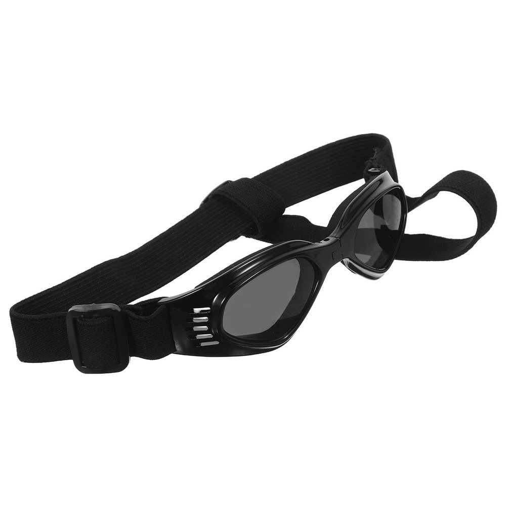 Stylish Dog Sunglasses for Small Dogs