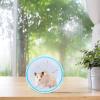 KHBUAB 14 cm Silent Plastic Exercise Wheel for Squirrels and Small Pets, Non-Slip and Easy to Clean, for Cages and Decoration view 4