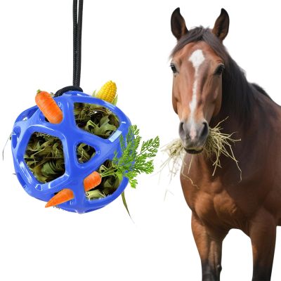 WHBFH 28 cm Hanging Hay Ball for Horses