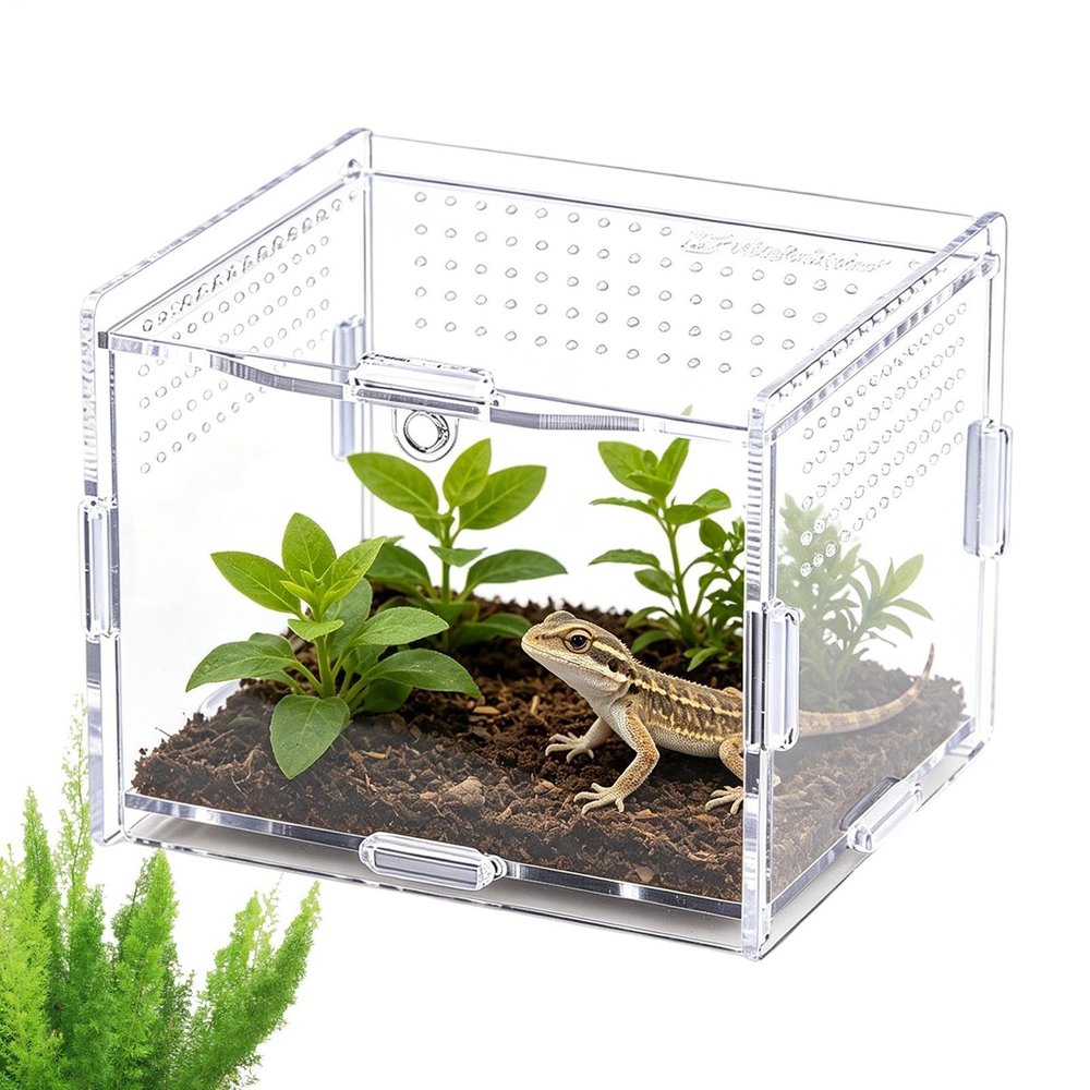 Transparent Acrylic Spider Terrarium