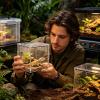 Transparent Acrylic Spider Terrarium view 2