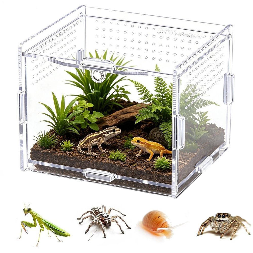 Transparent Escape-Proof Ventilated Praying Mantis Terrarium