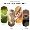 Transparent Escape-Proof Ventilated Praying Mantis Terrarium view 4