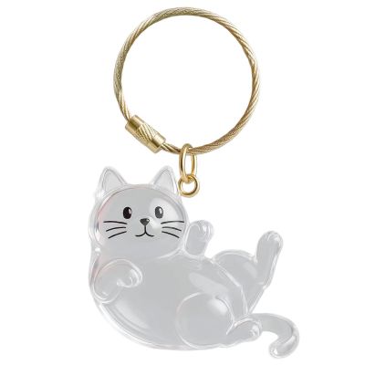 Generic Dog Hair Collector Keychain